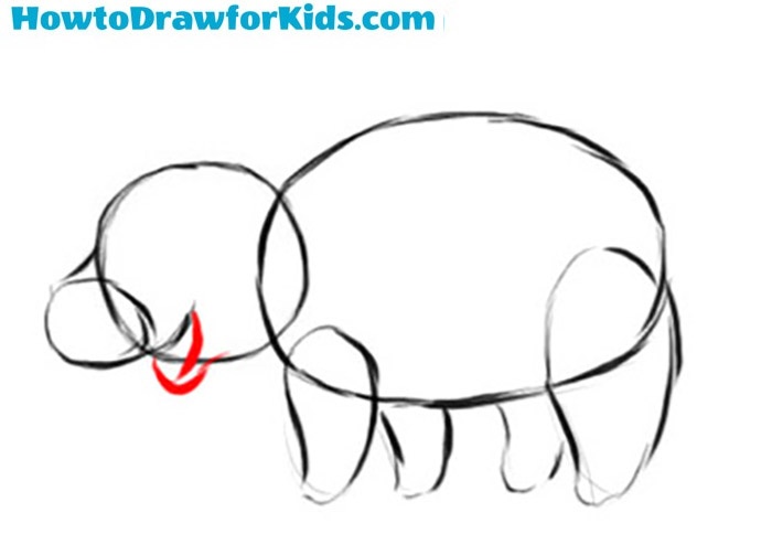 How to draw a pig for beginners
