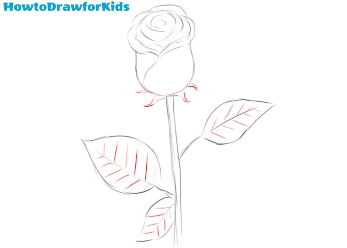 How to draw a rose for kids