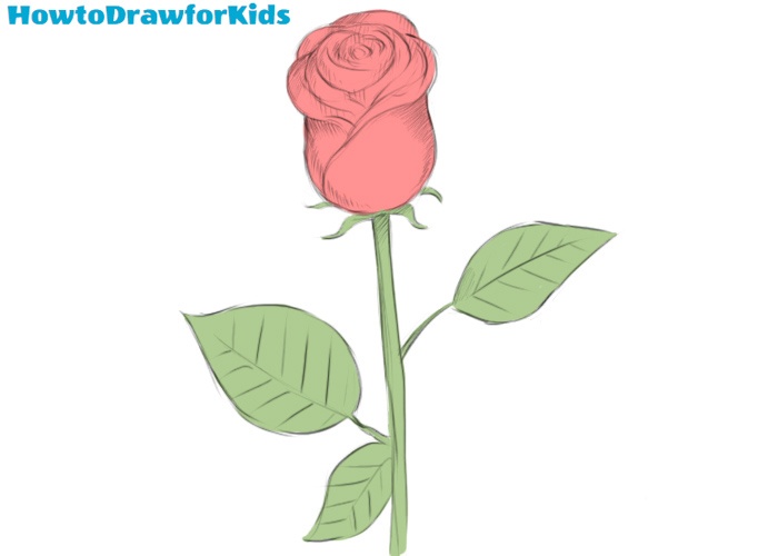 How to draw a rose easy